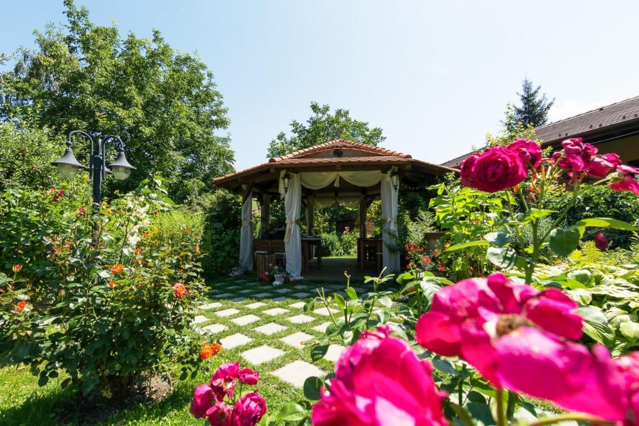 Hotel Bielmann Sînpetru Buitenkant foto