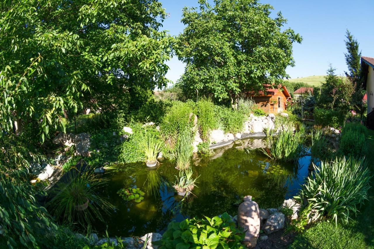 Hotel Bielmann Sînpetru Buitenkant foto