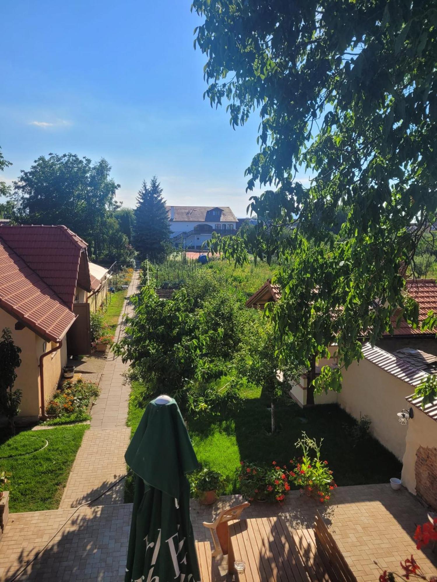 Hotel Bielmann Sînpetru Buitenkant foto